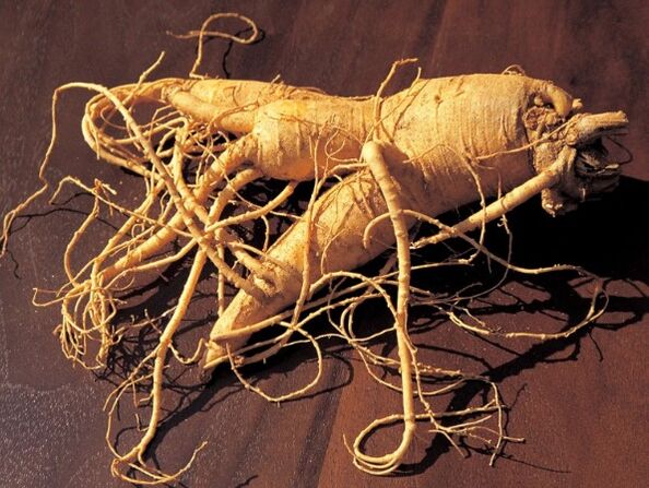 Racine de ginseng