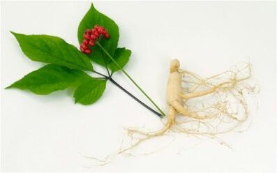 Stimulants naturels pour la puissance masculine