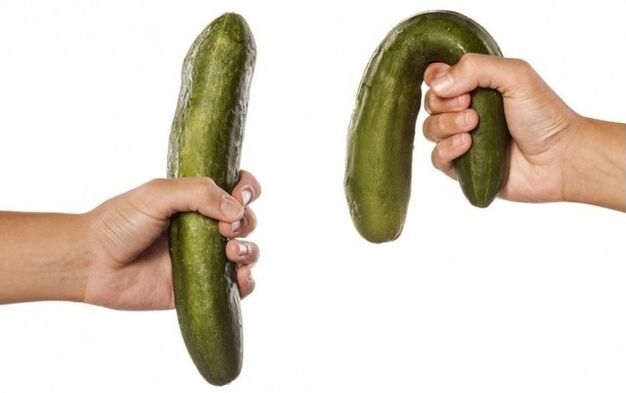 Prenons l'exemple du concombre, sa puissance est forte et faible