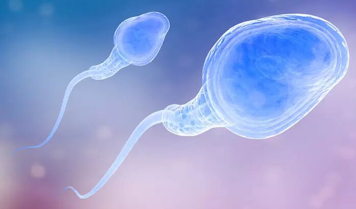 Le sperme peut être présent chez les hommes avant l'éjaculation